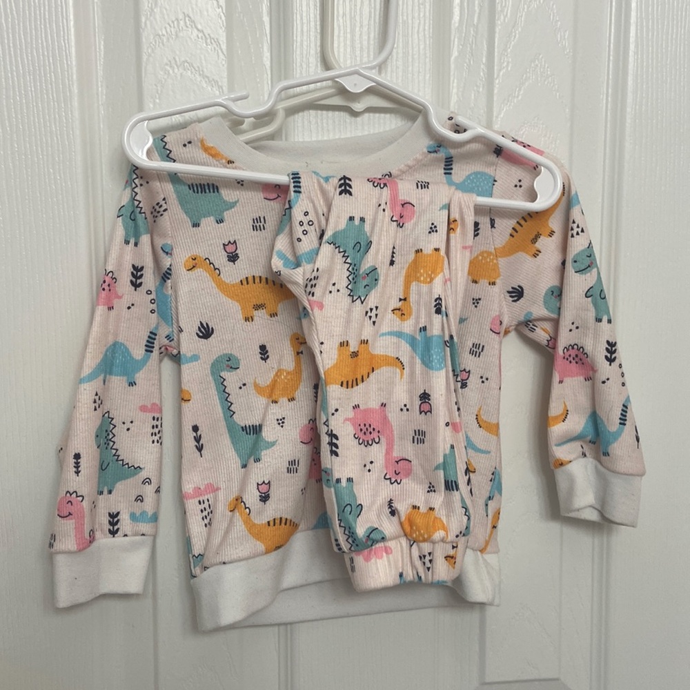 Baby Dinosaur Print Sweatshirt & Sweatpants